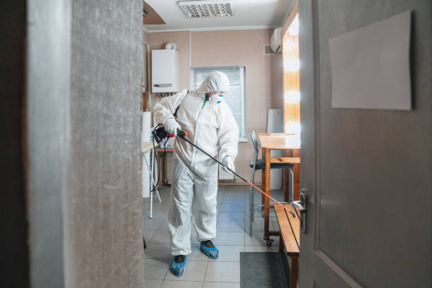 Best Mold Removal for HVAC Installations  in Newstle, CA